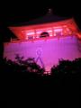 紀三井寺をピンクにライトアップ 「乳がん撲滅キャンペーン ピンクリボン運動ｉｎ和歌山」