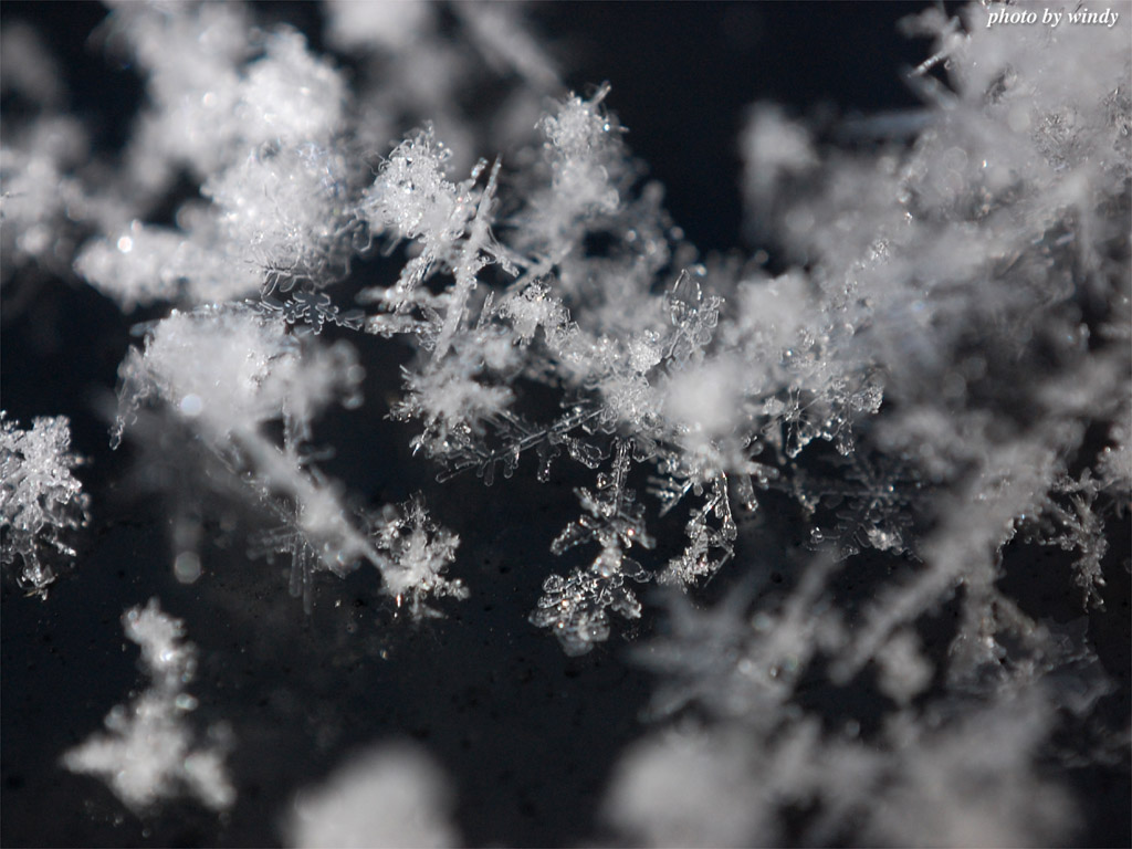 さんぽふぉと Sanpophoto 無料壁紙 雪の結晶